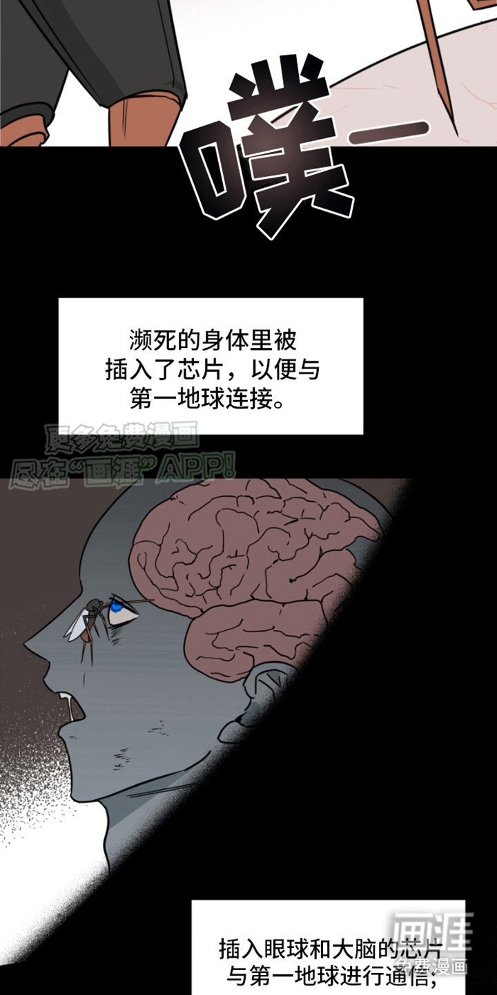 第18章：灵魂连接器