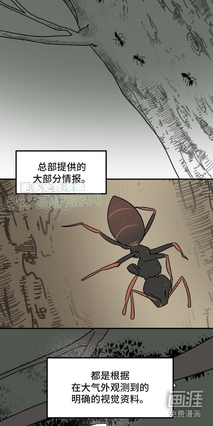 第19章：修龙