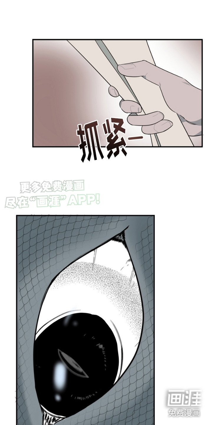 第19章：修龙