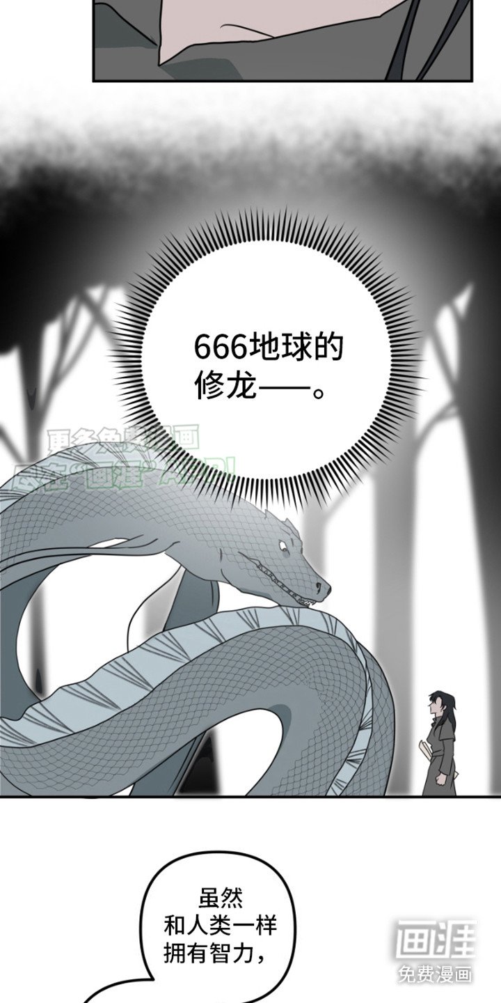 第19章：修龙