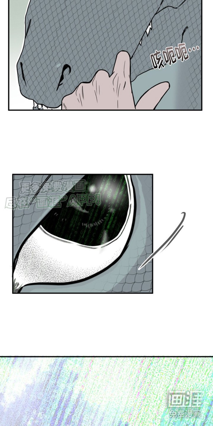 第19章：修龙