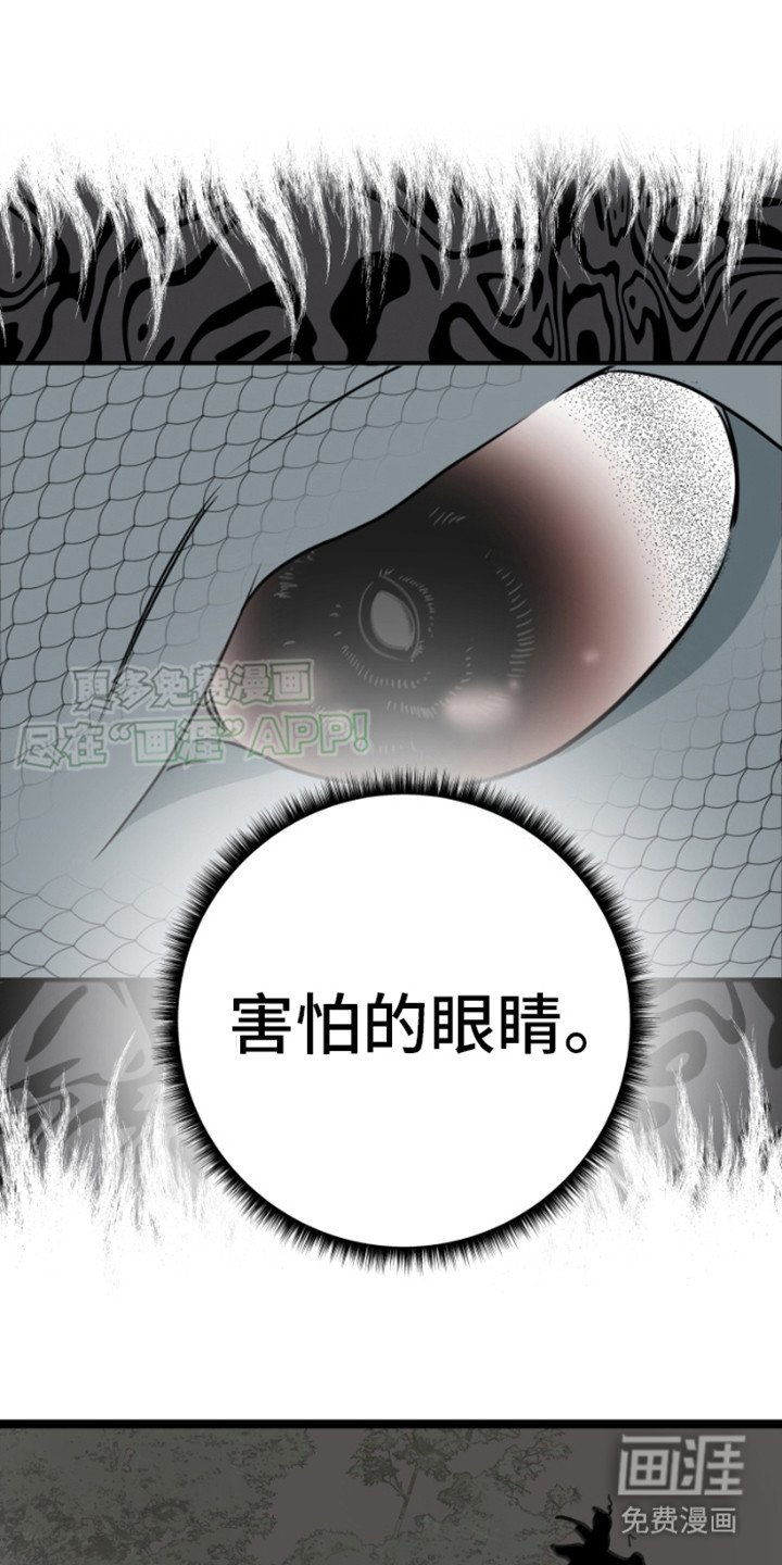 第19章：修龙
