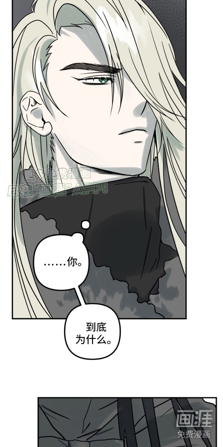 第3章：疑惑