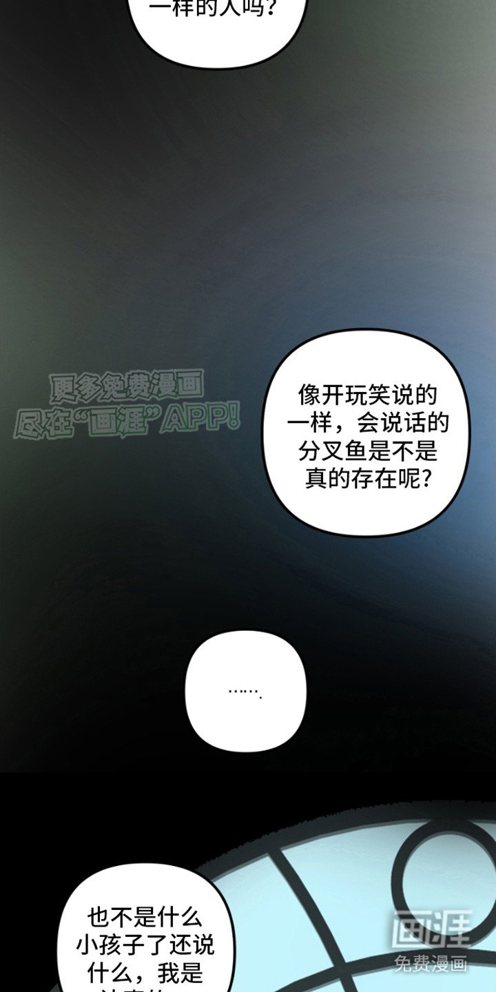 第3章：疑惑