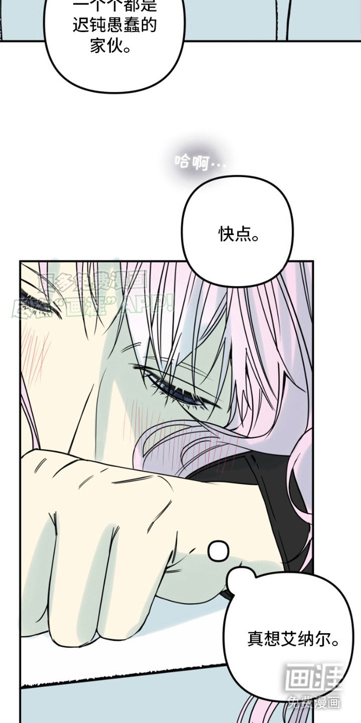 第4章：骑士团