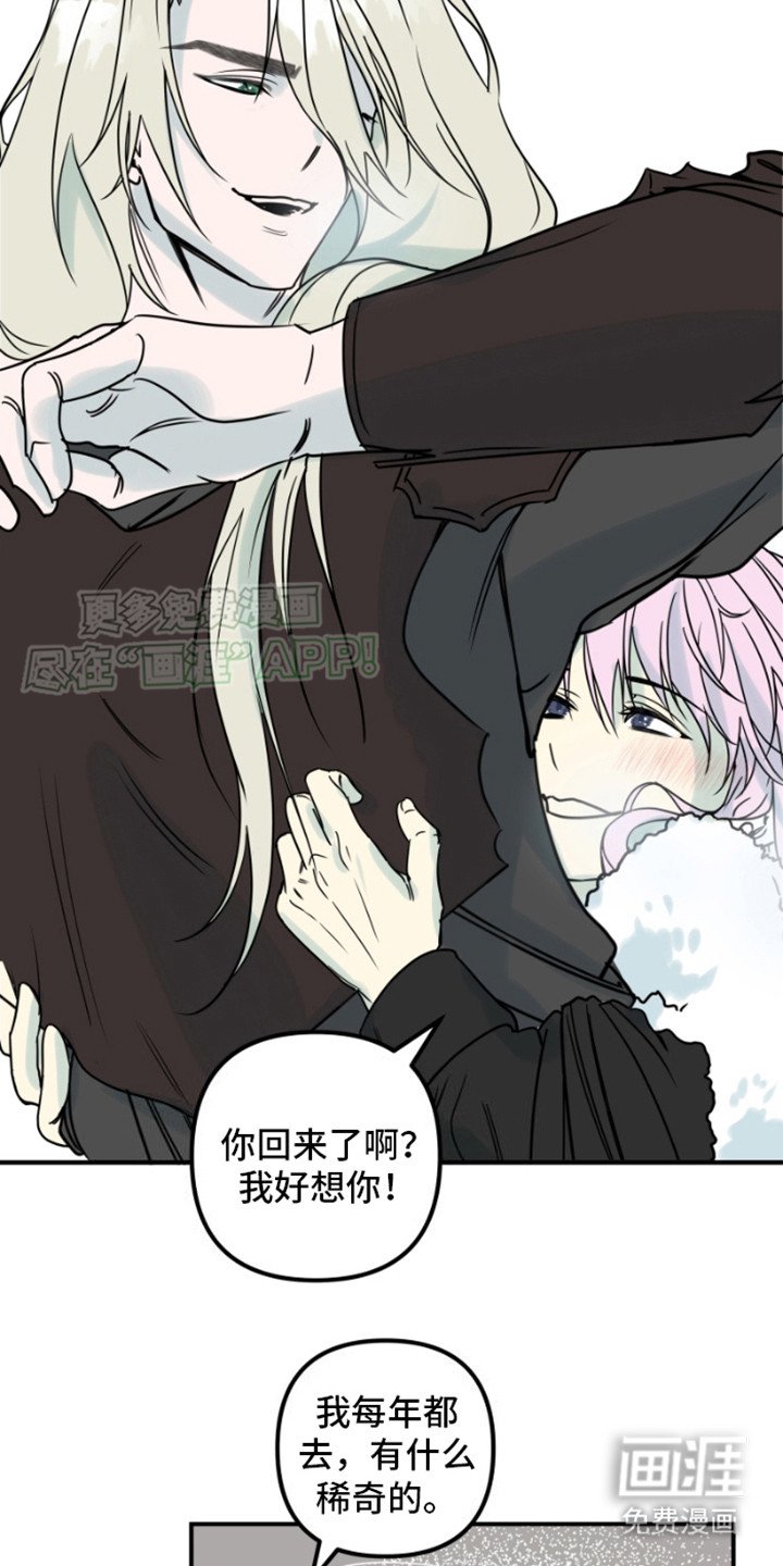 第4章：骑士团