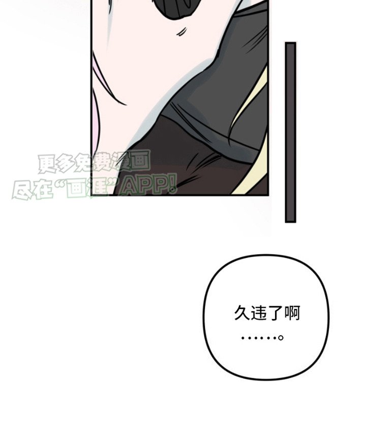 第4章：骑士团