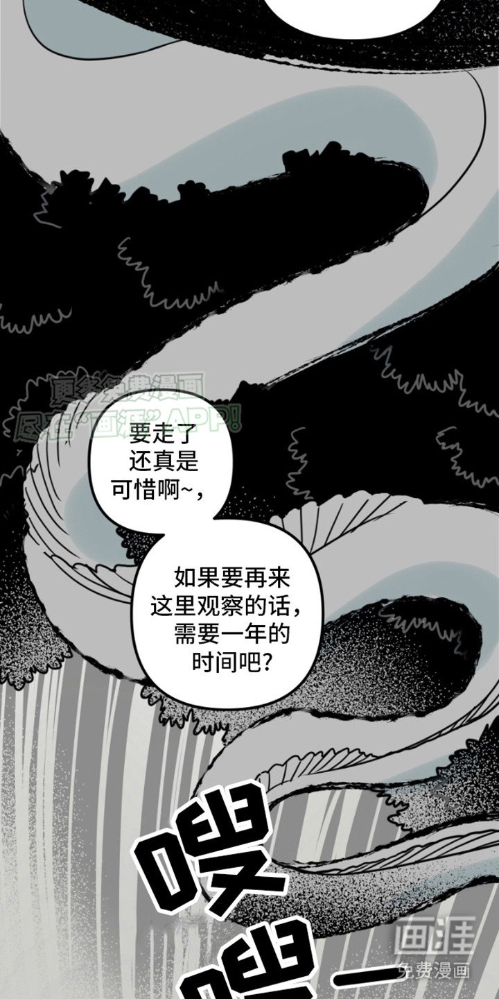 第5章：巨兽