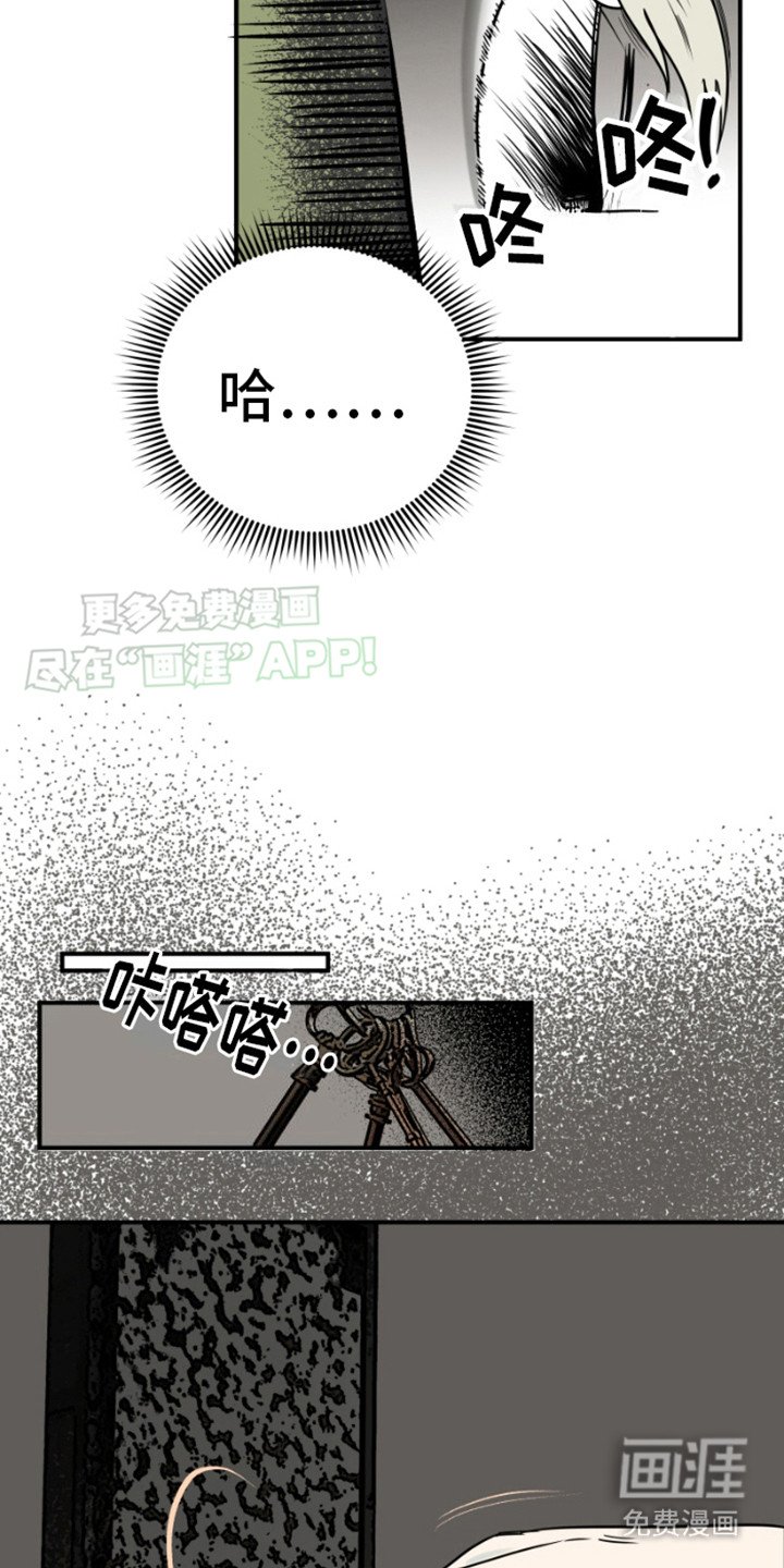 第6章：直觉