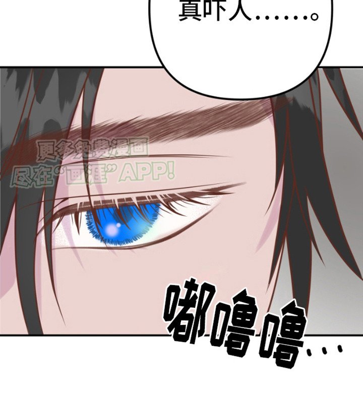 第7章：警告