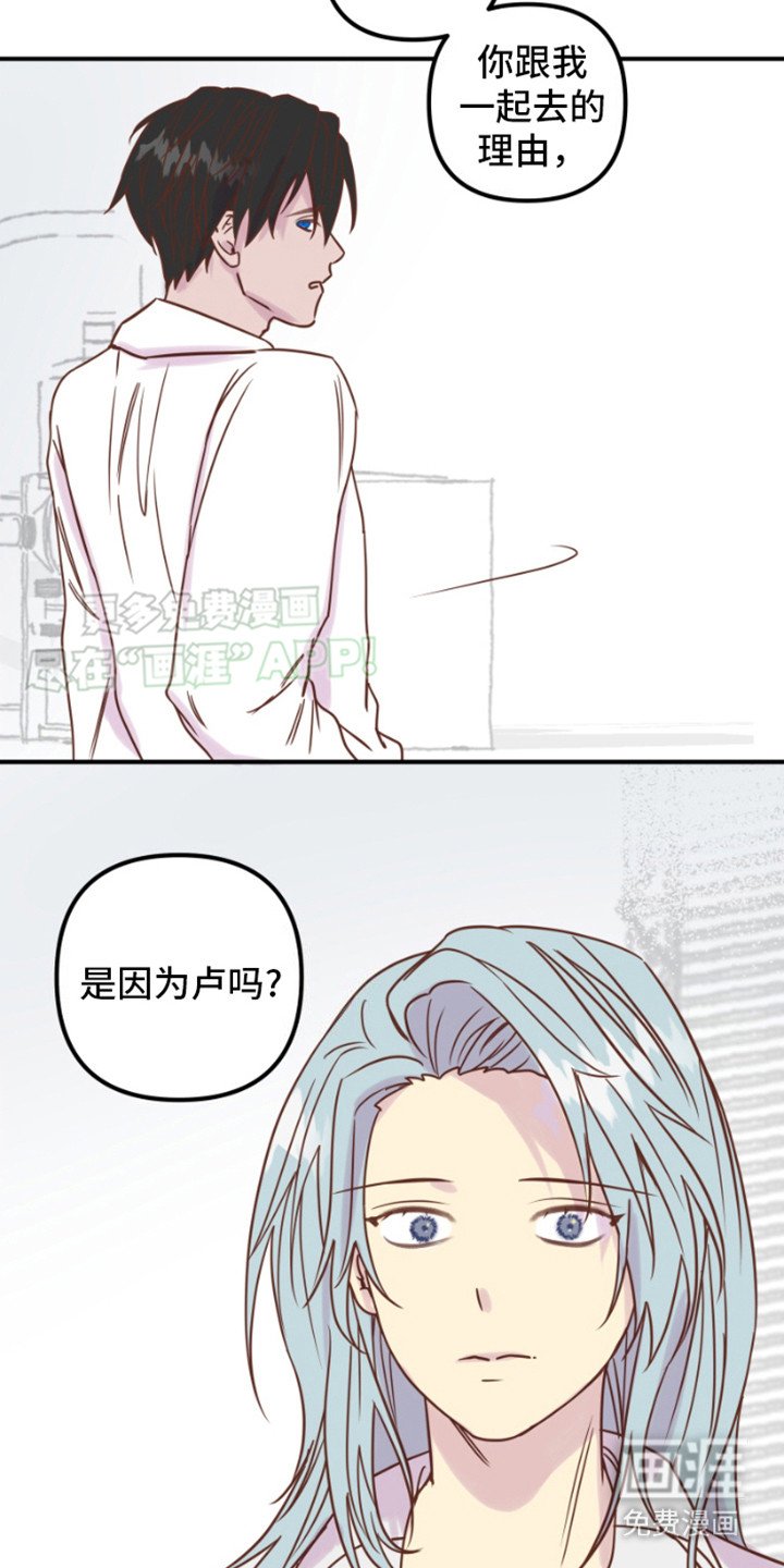 第8章：理由