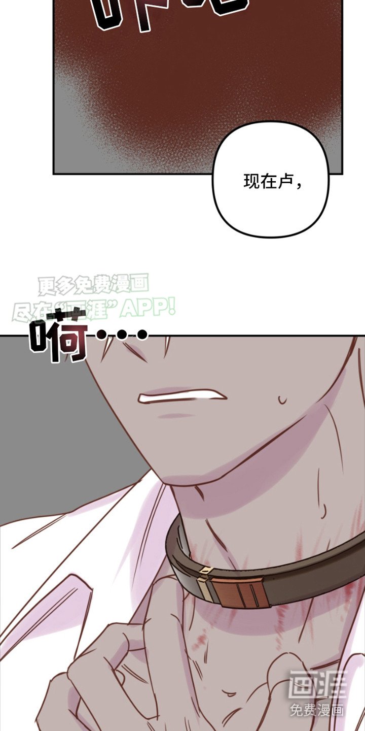 第8章：理由