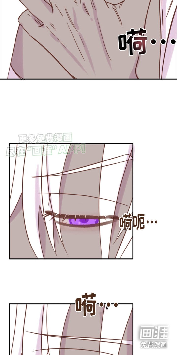 第8章：理由