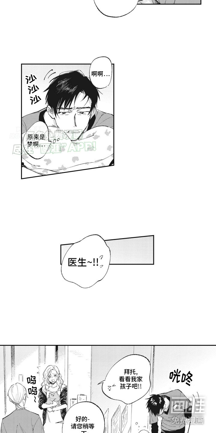 第1章：受伤的小猫