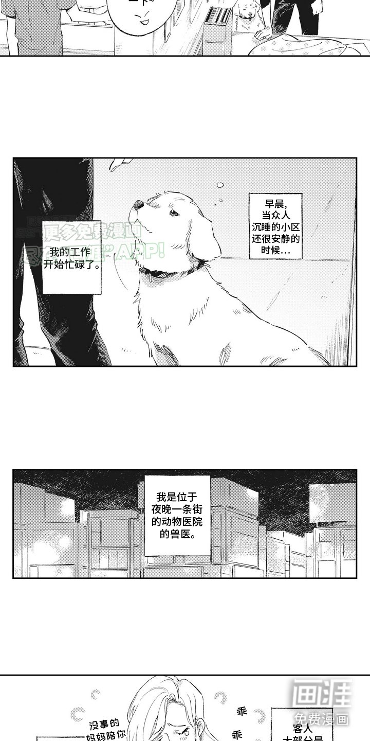 第1章：受伤的小猫