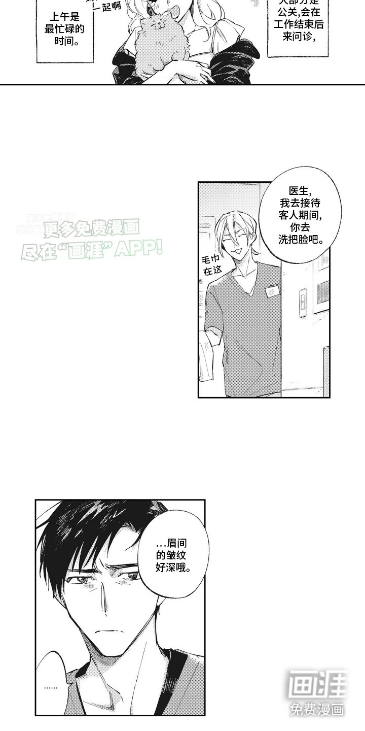 第1章：受伤的小猫