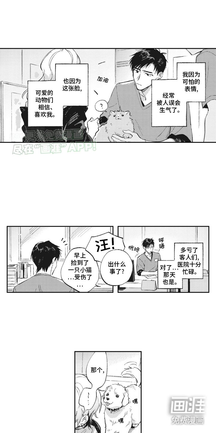 第1章：受伤的小猫