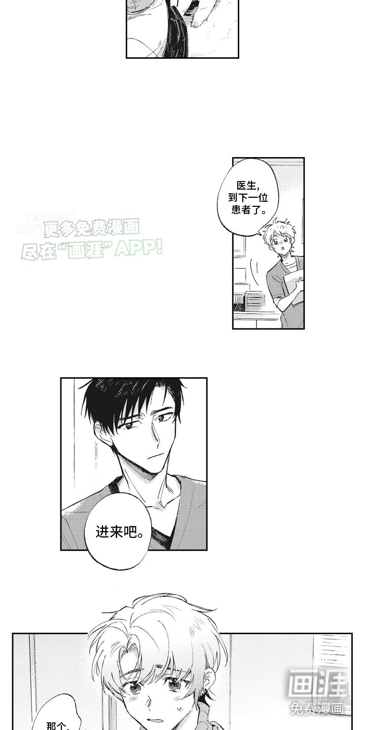 第1章：受伤的小猫