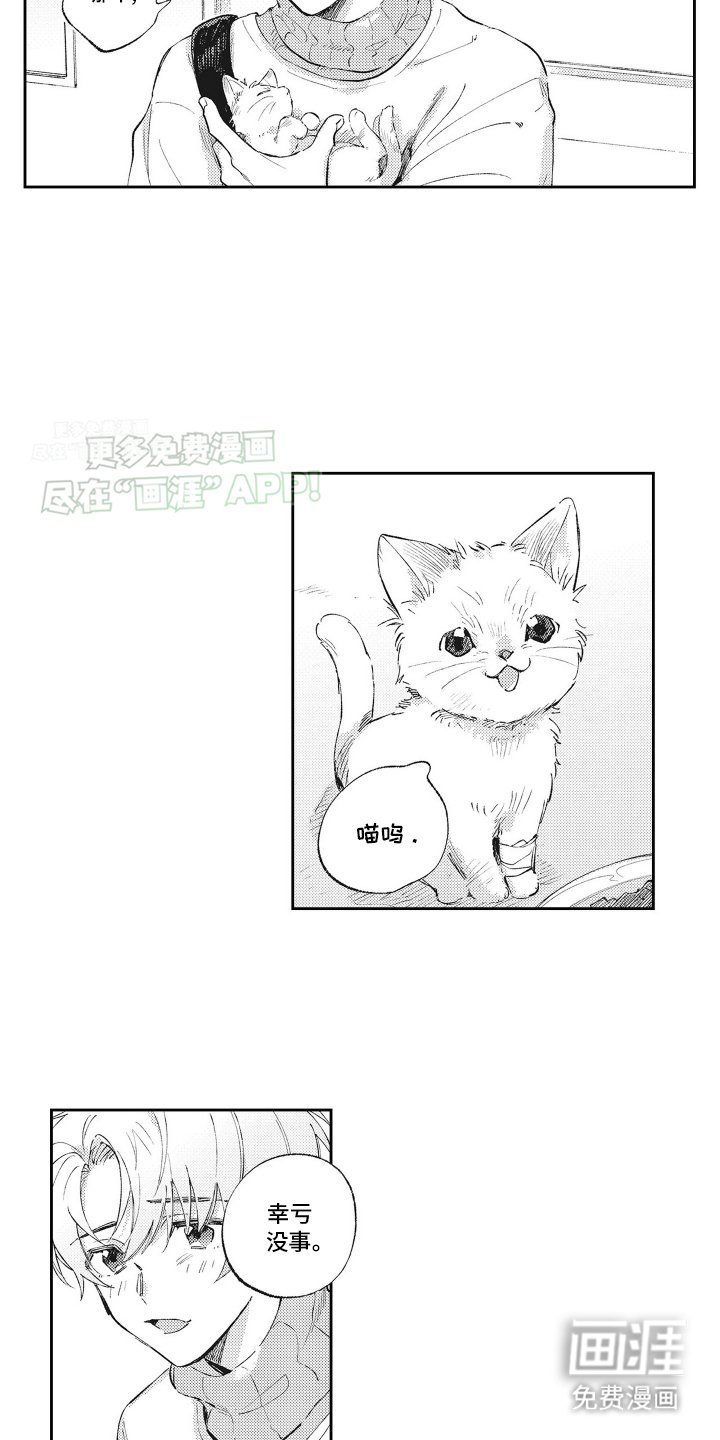 第1章：受伤的小猫