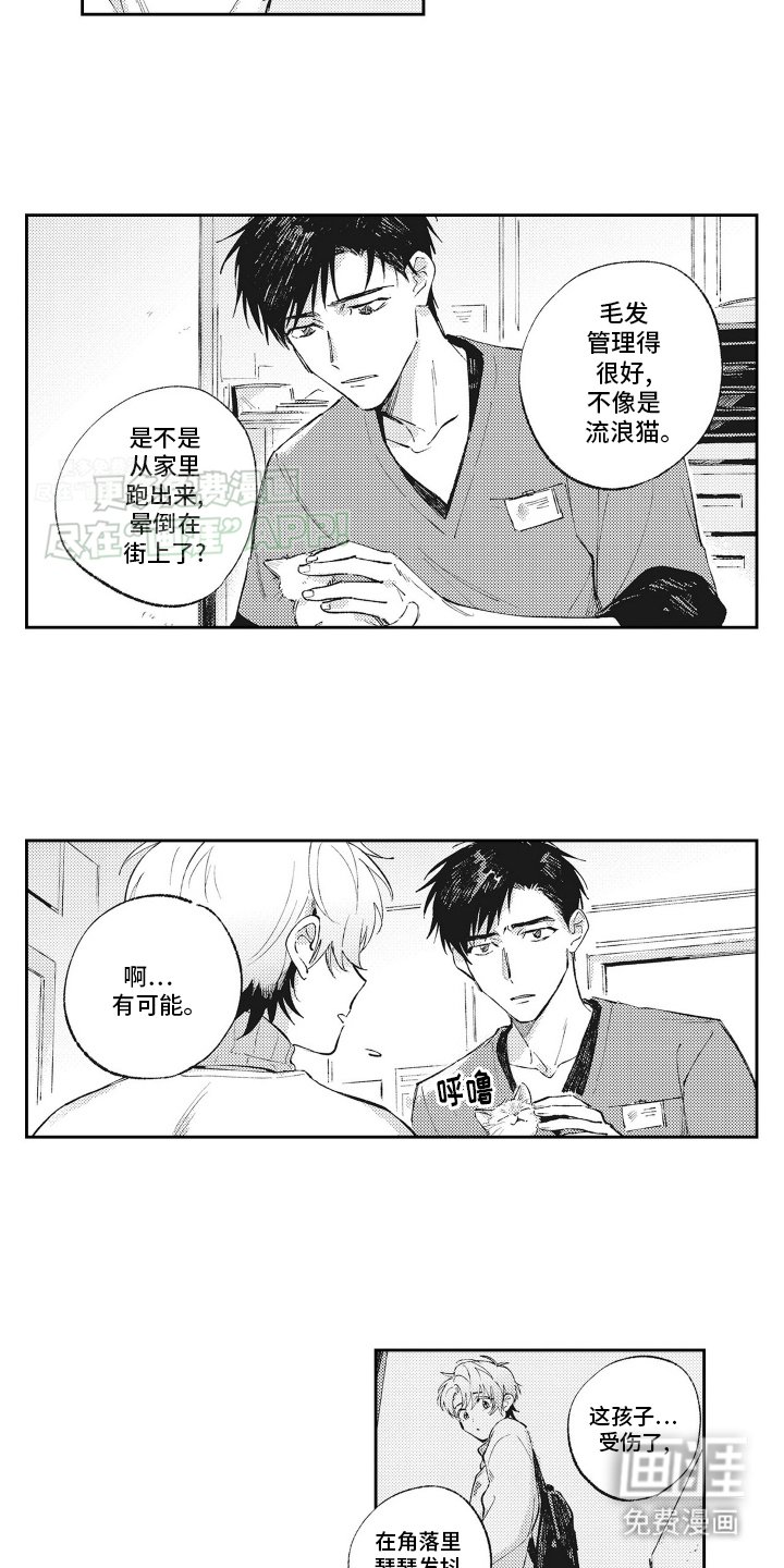 第1章：受伤的小猫
