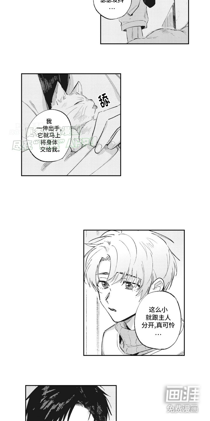 第1章：受伤的小猫