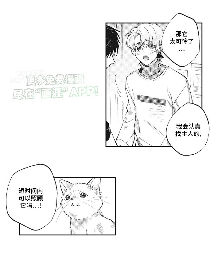 第1章：受伤的小猫