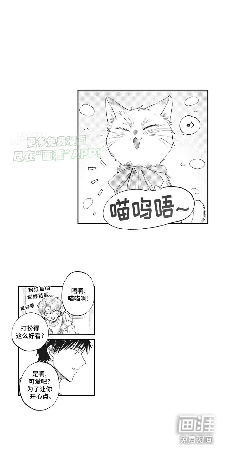 第11章：猫猫