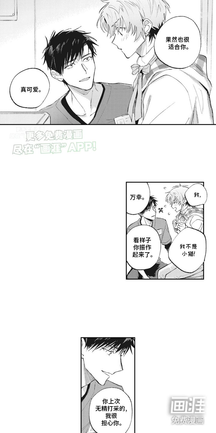 第11章：猫猫