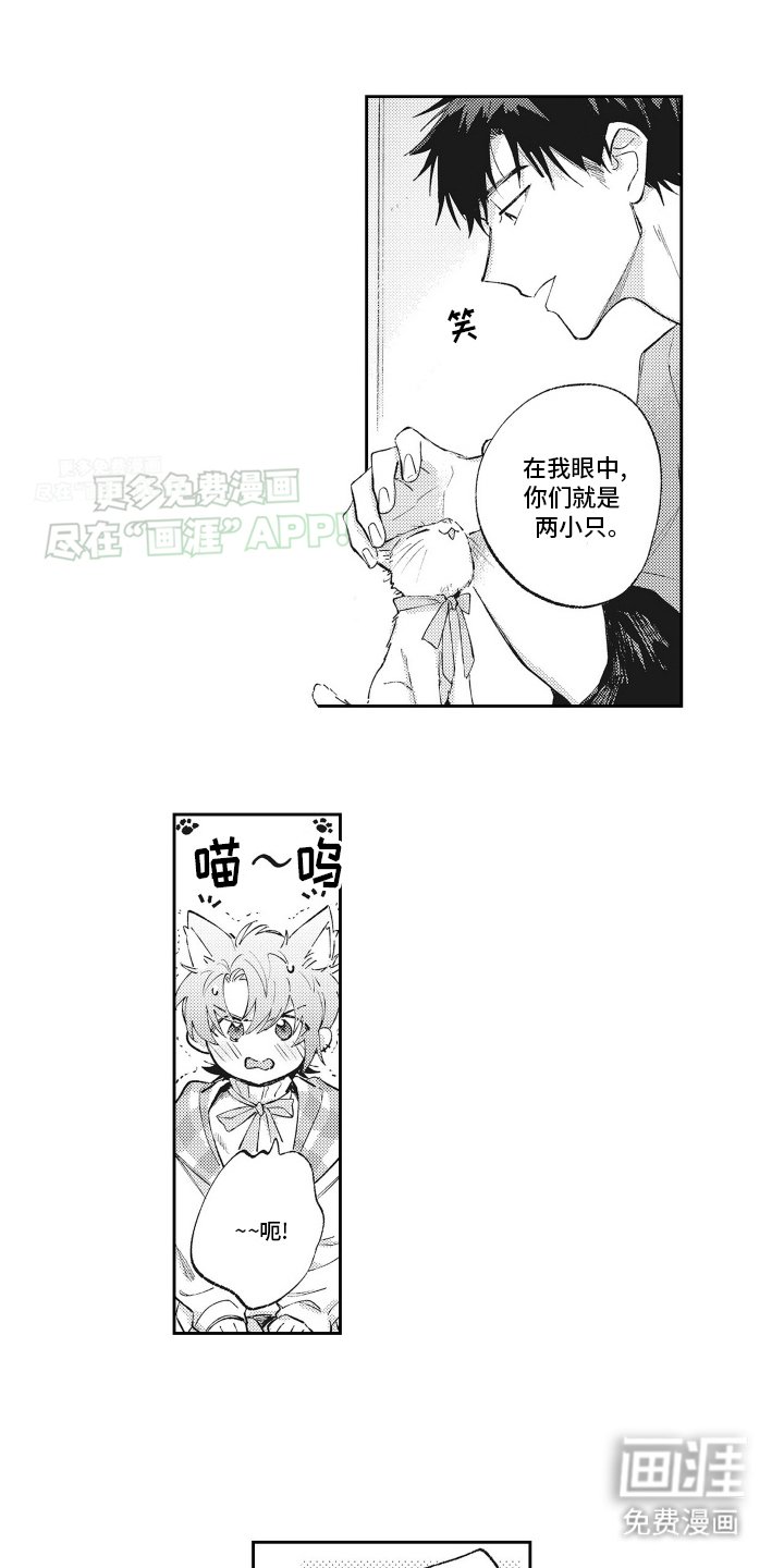 第11章：猫猫