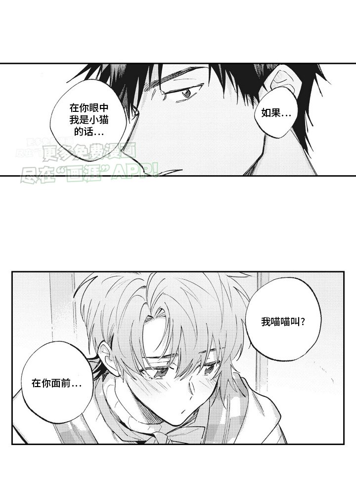 第11章：猫猫