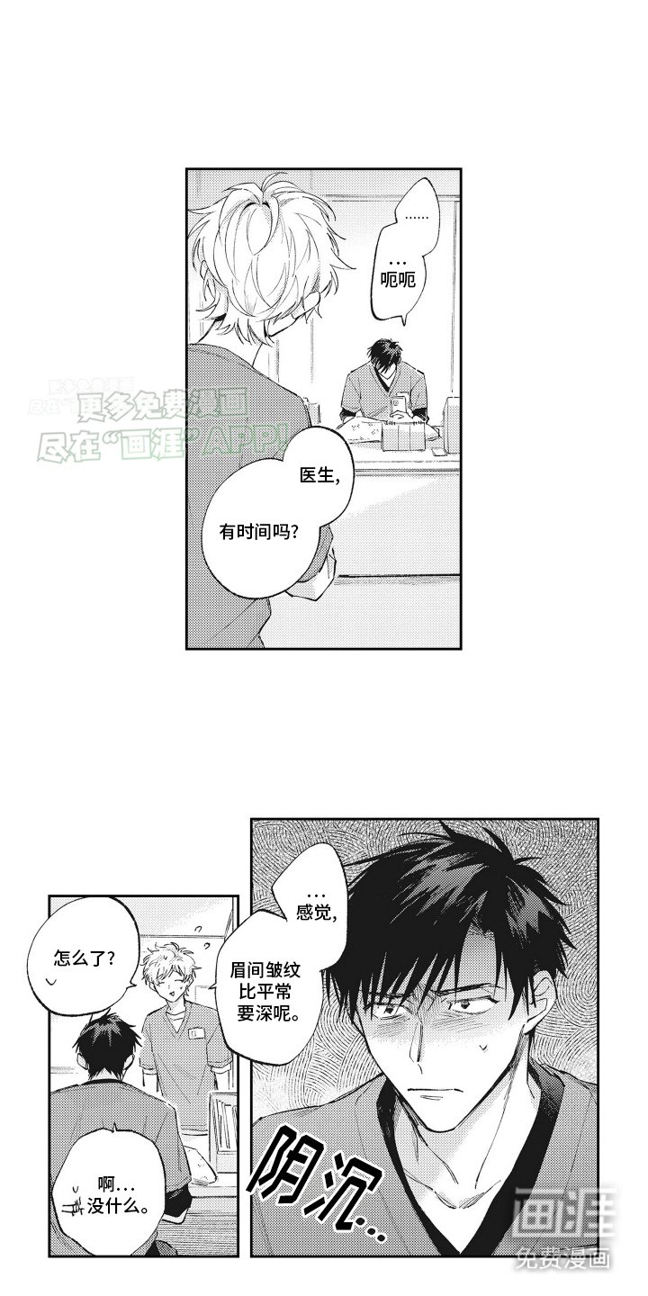 第13章：成功领养