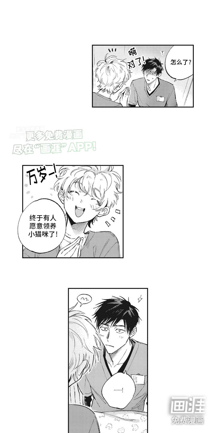 第13章：成功领养