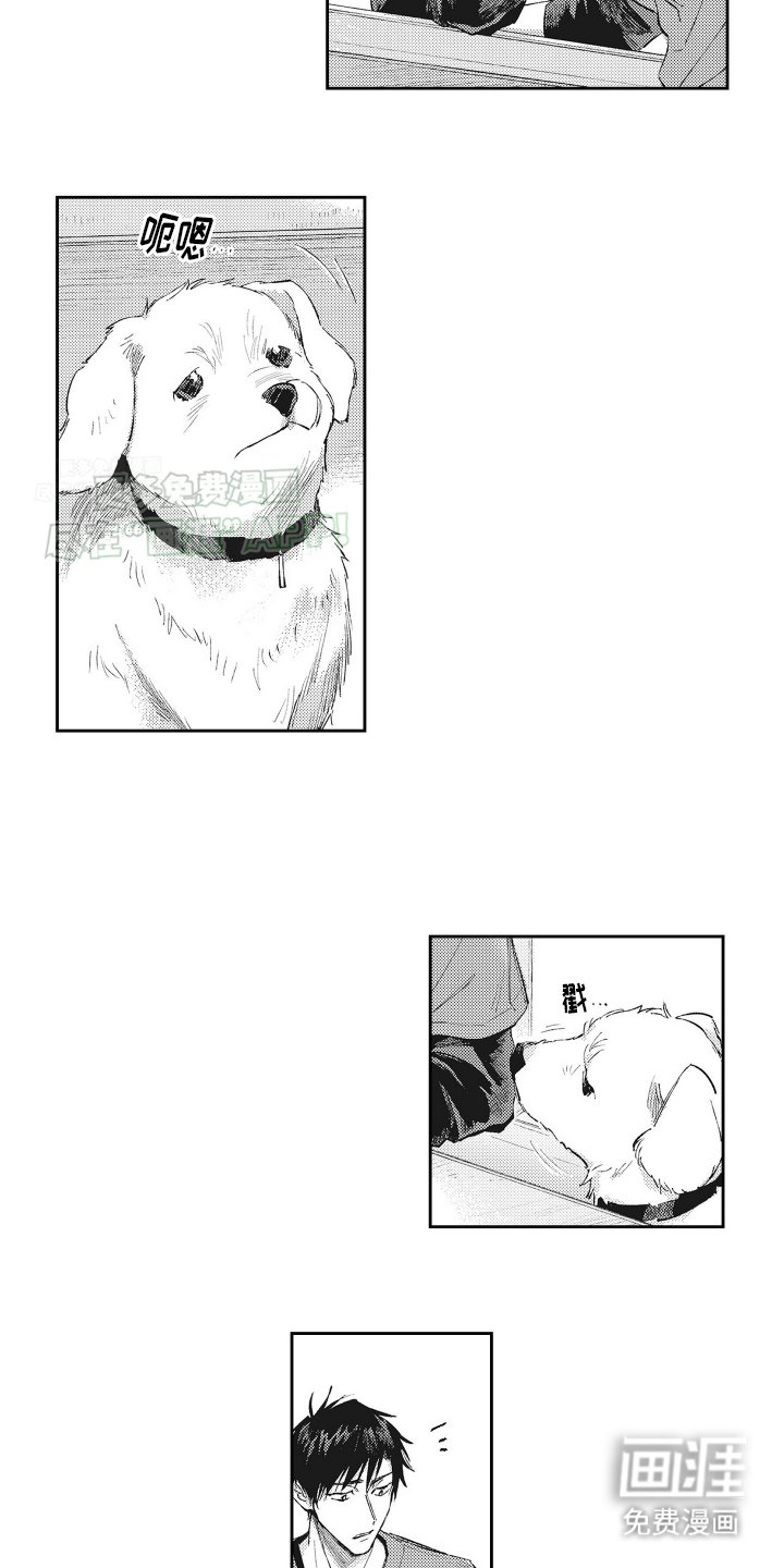 第17章：掉马