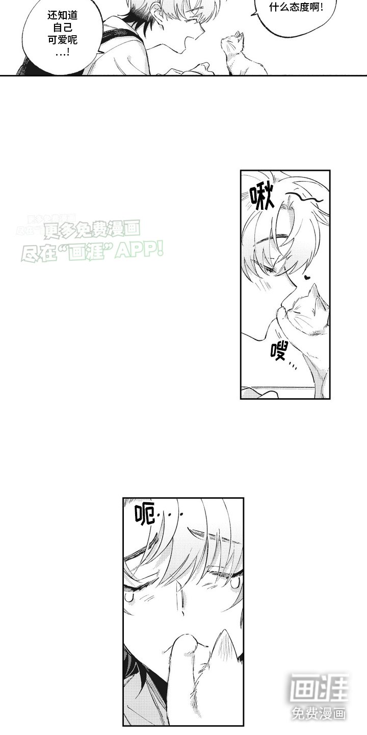 第2章：帮助