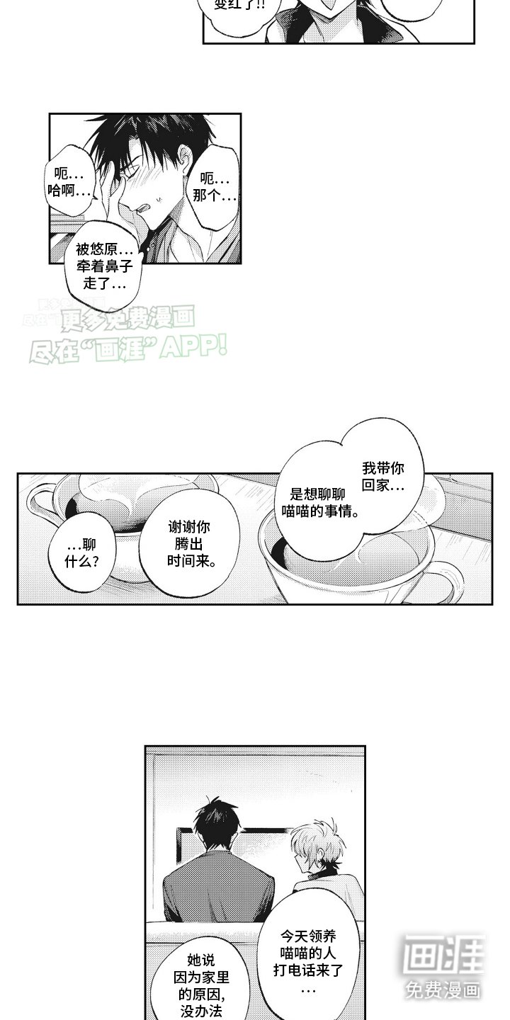 第20章：带回家