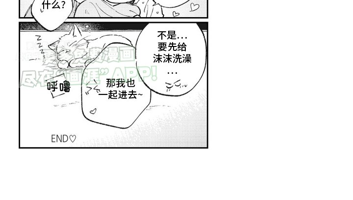 第23章：两只小猫（完结）