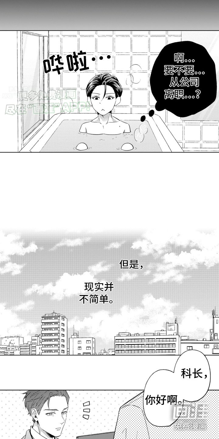 第17章：回到公司