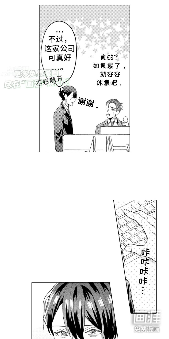 第17章：回到公司