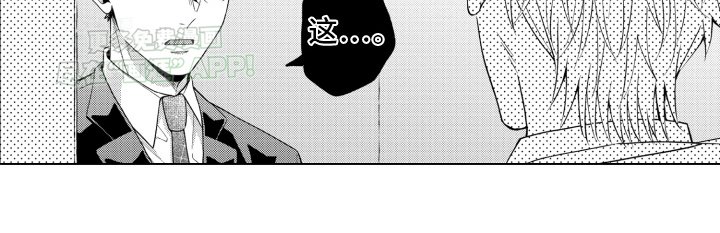 第17章：回到公司