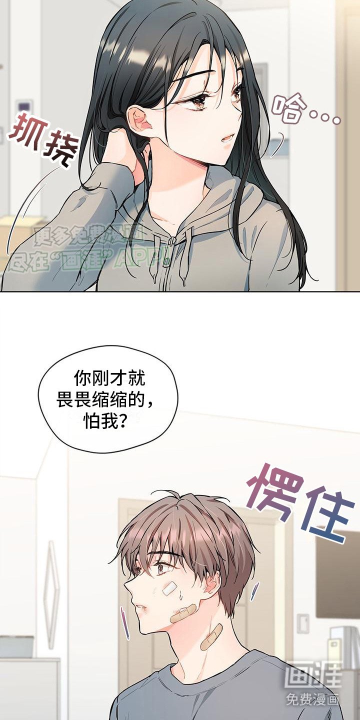 第11章：像只小猫