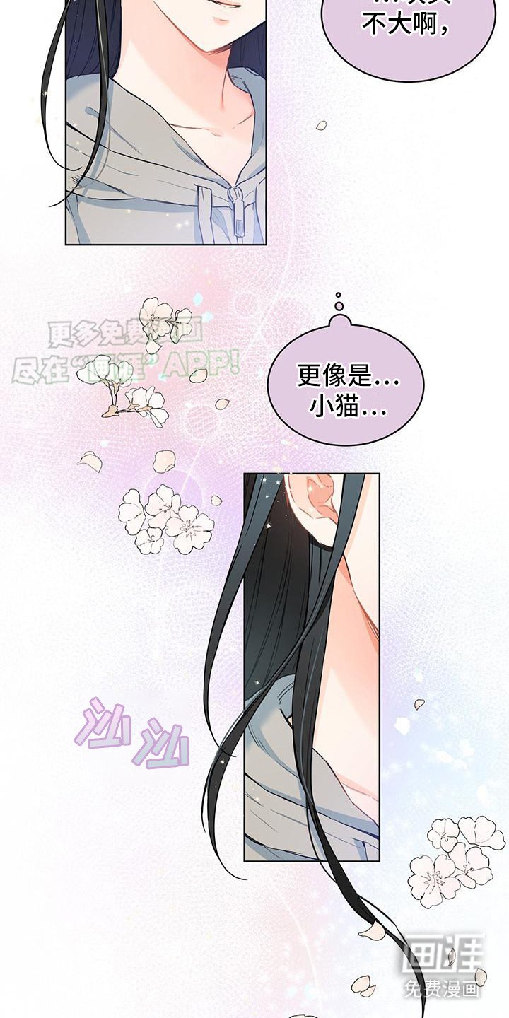 第11章：像只小猫