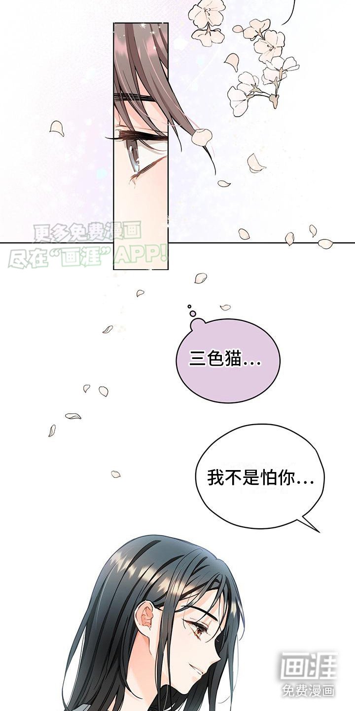 第11章：像只小猫