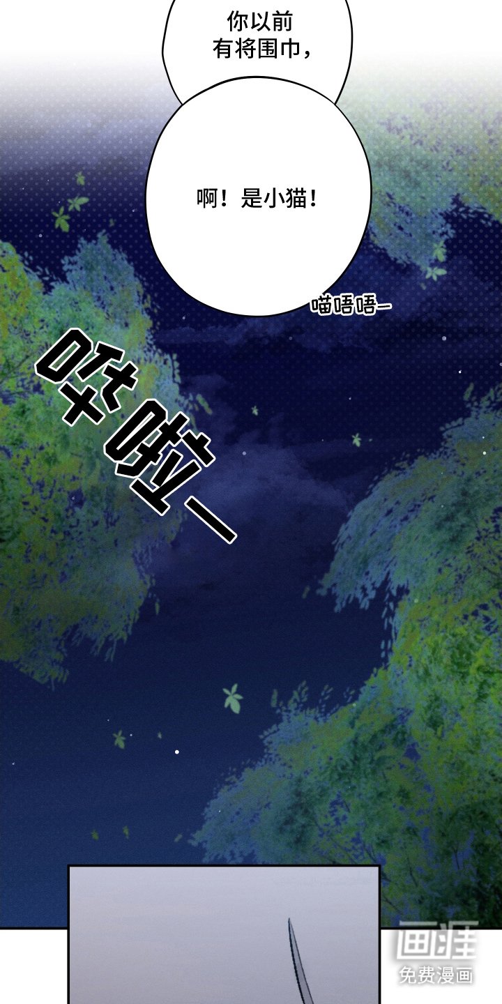 第13章：随口一说