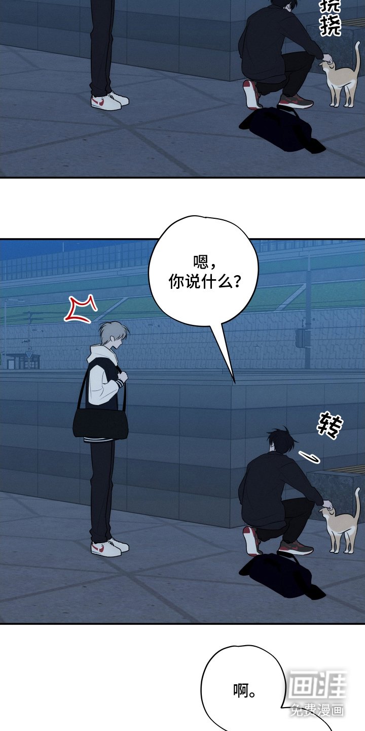 第13章：随口一说