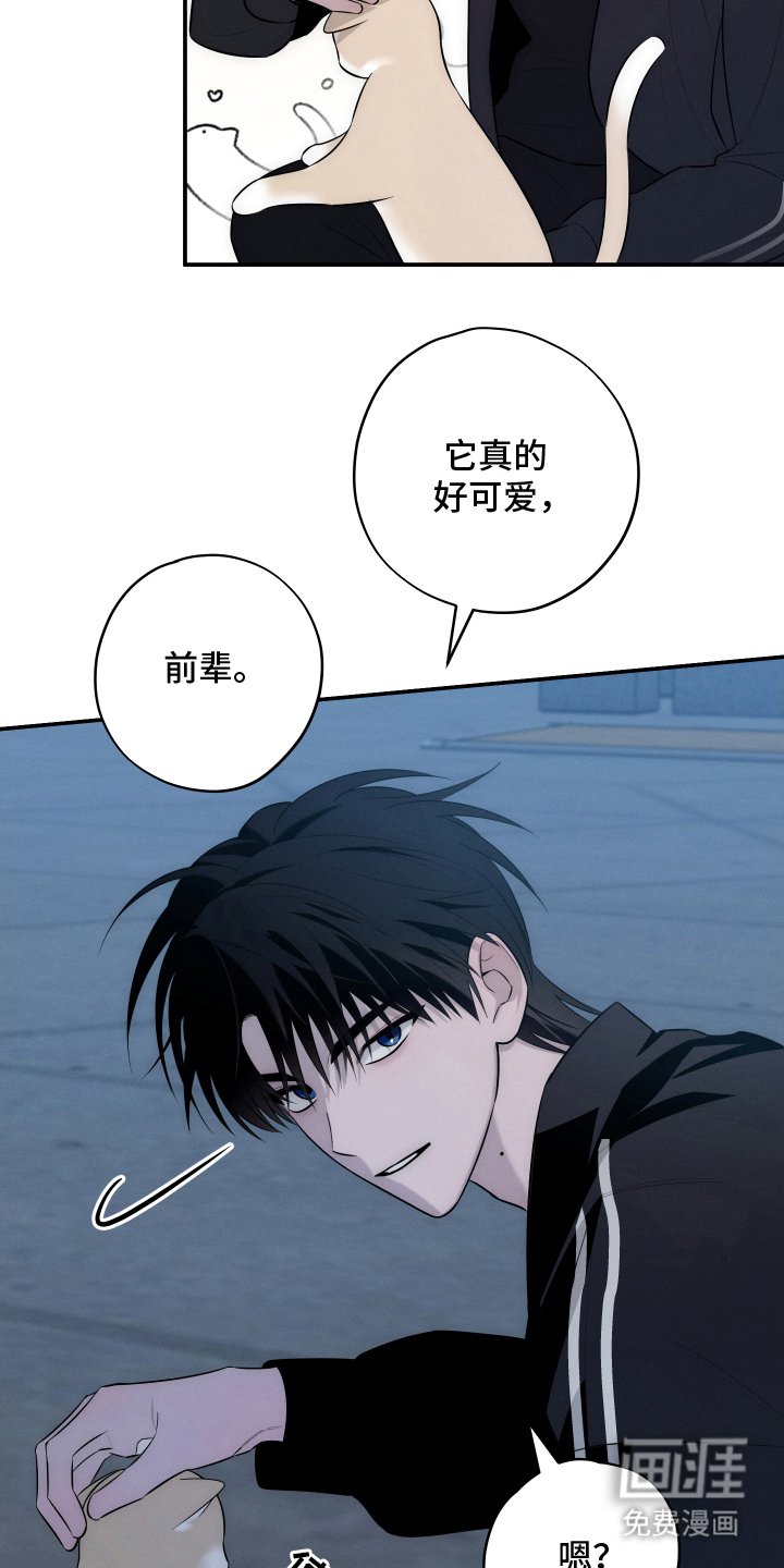 第13章：随口一说
