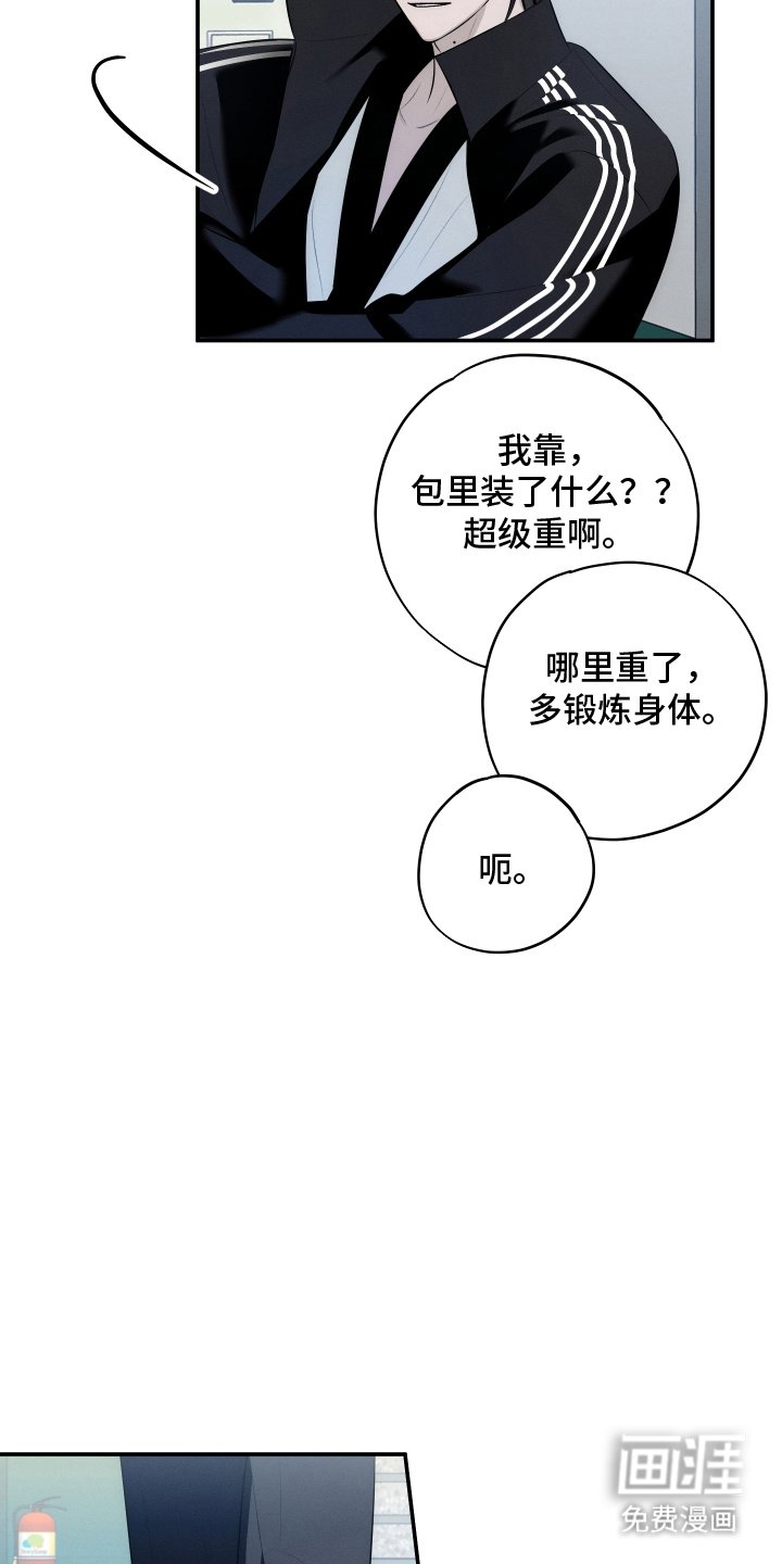 第15章：集合