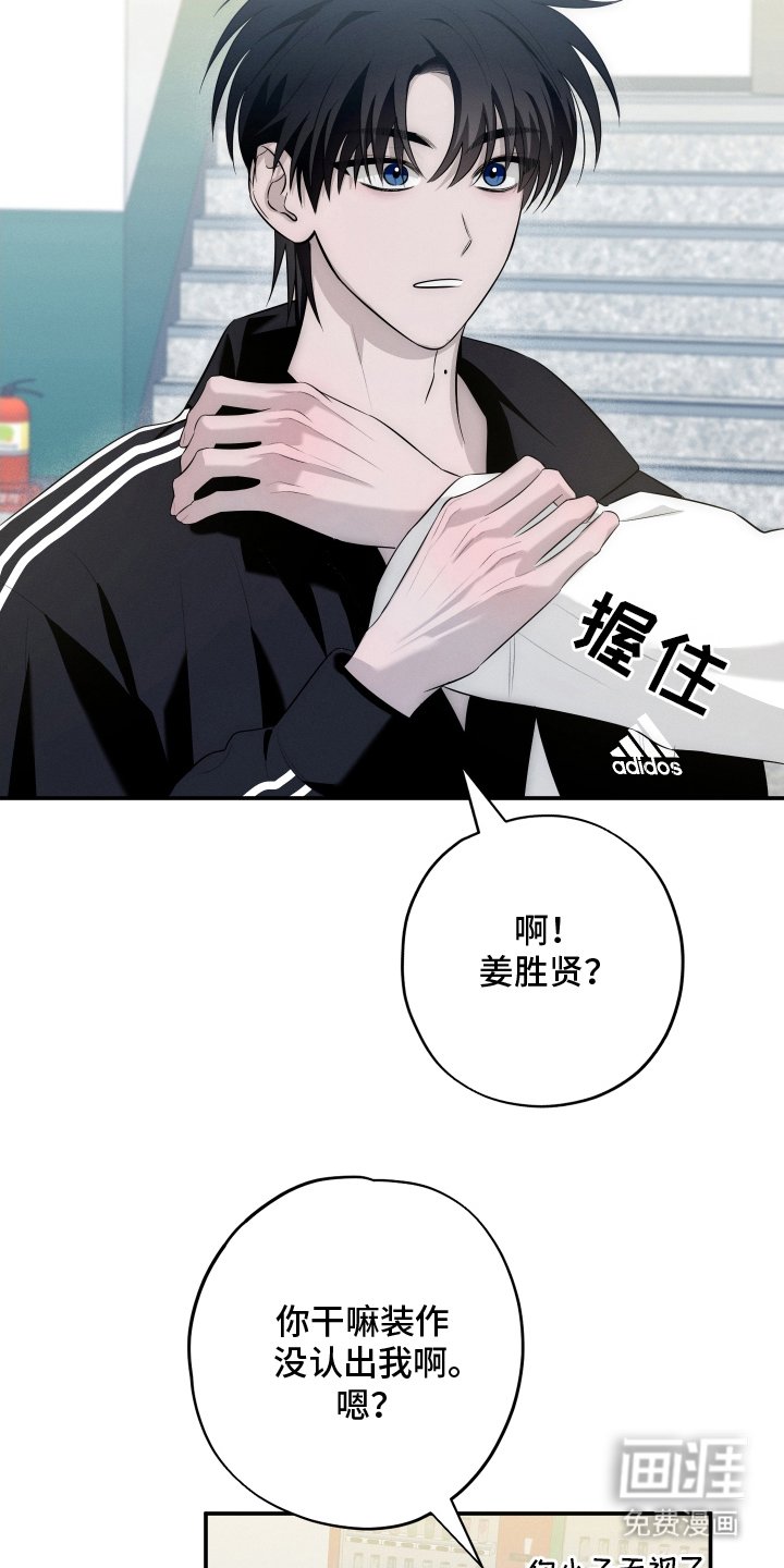 第15章：集合