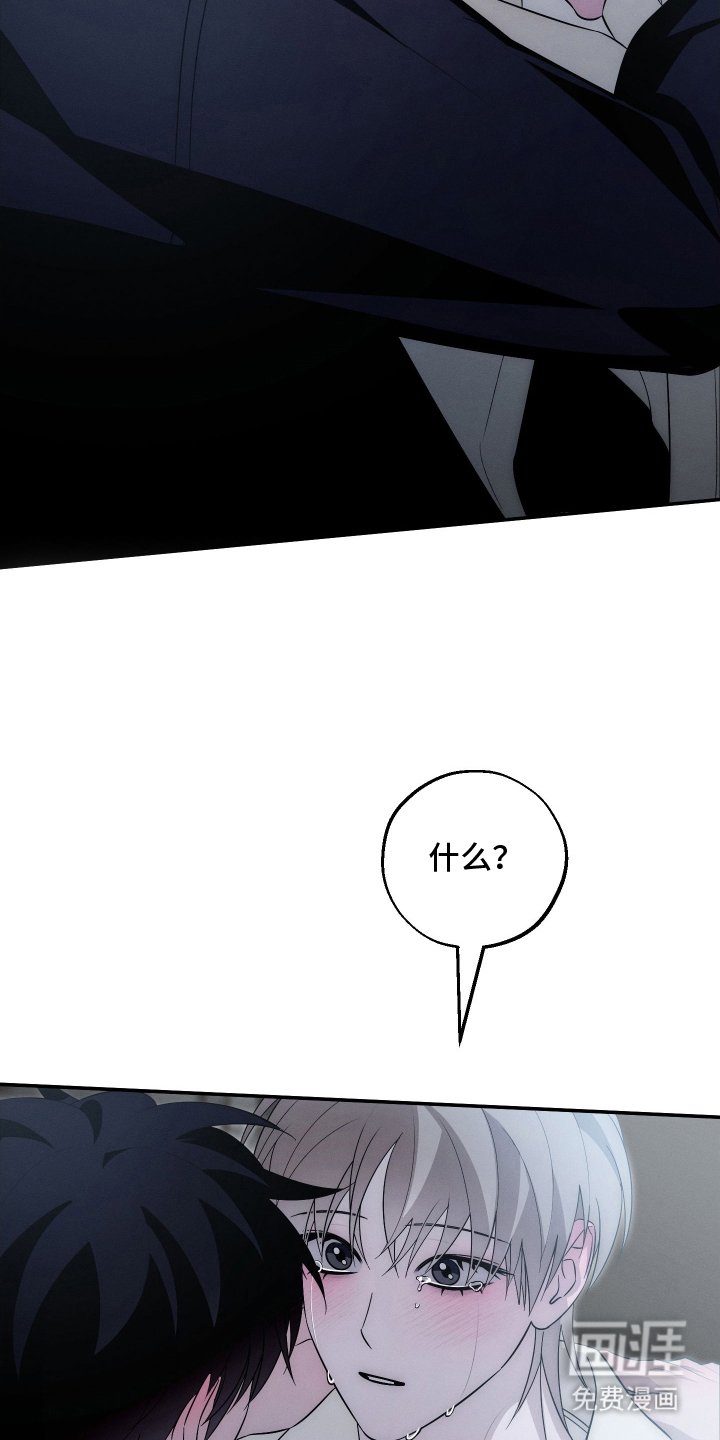 第29章：不是那样