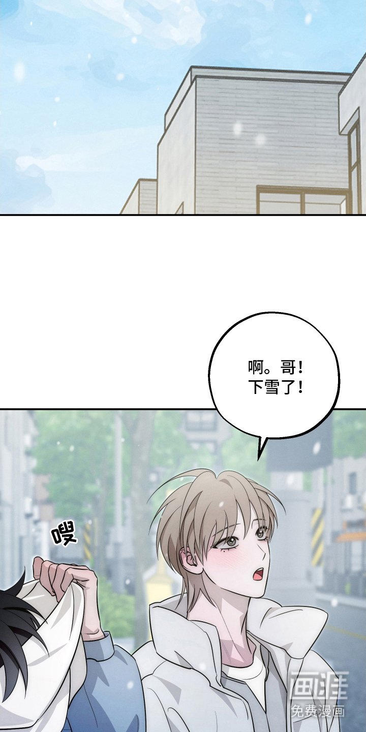 第32章：真可爱（完结）