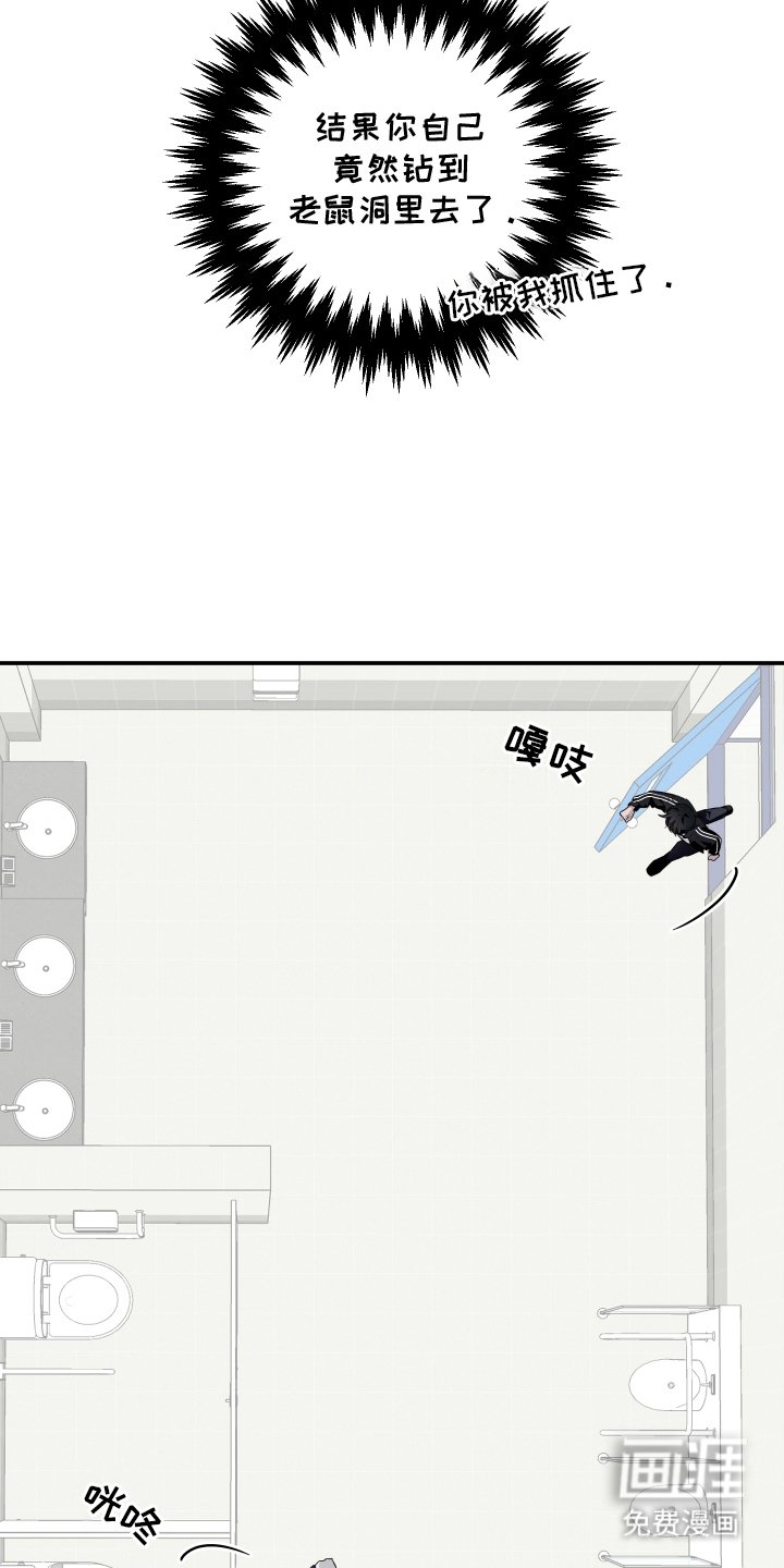 第7章：老鼠洞